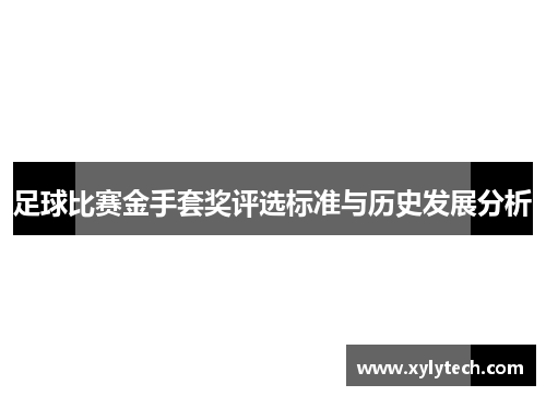足球比赛金手套奖评选标准与历史发展分析