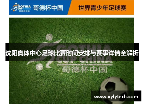 沈阳奥体中心足球比赛时间安排与赛事详情全解析