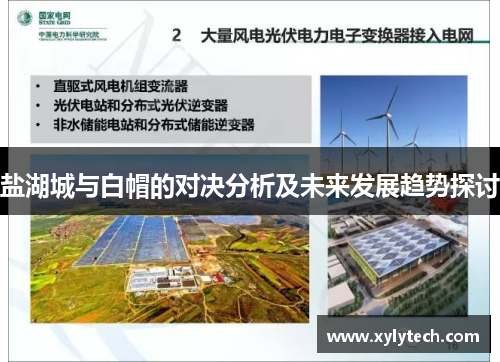 盐湖城与白帽的对决分析及未来发展趋势探讨