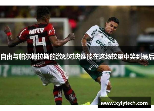 自由与帕尔梅拉斯的激烈对决谁能在这场较量中笑到最后