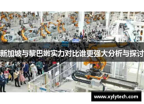 新加坡与黎巴嫩实力对比谁更强大分析与探讨